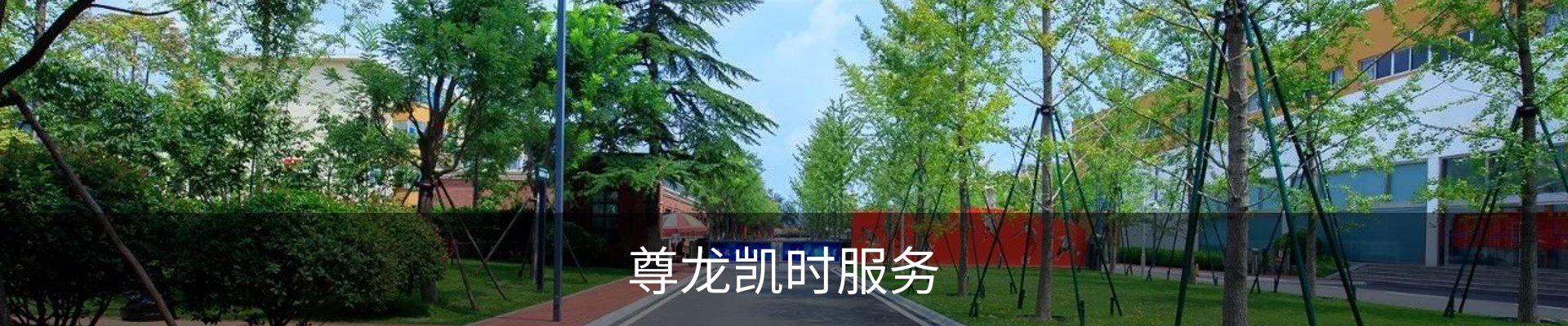 尊龙凯时服务