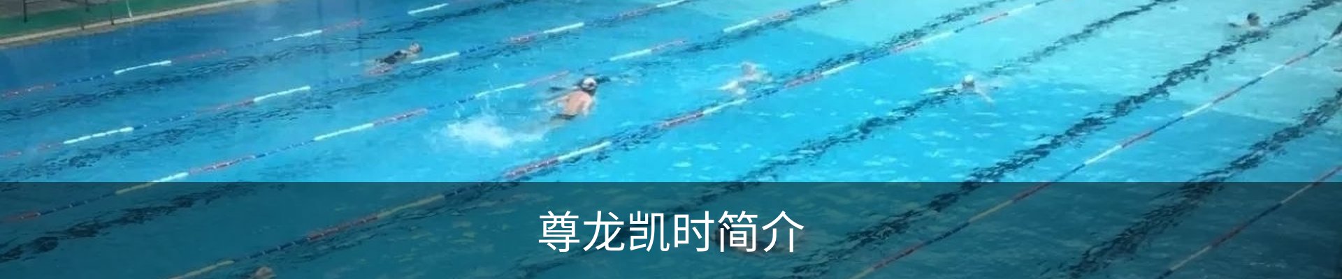 尊龙凯时简介